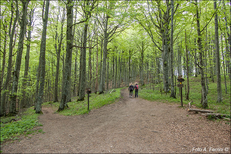 Passo della Crocina