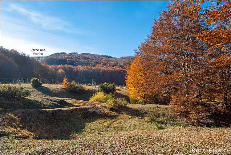 Fonte Cerbareccia