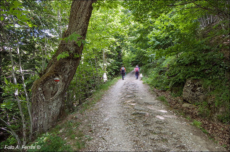 CAI 64 Badia Prataglia - Campo dell’Agio