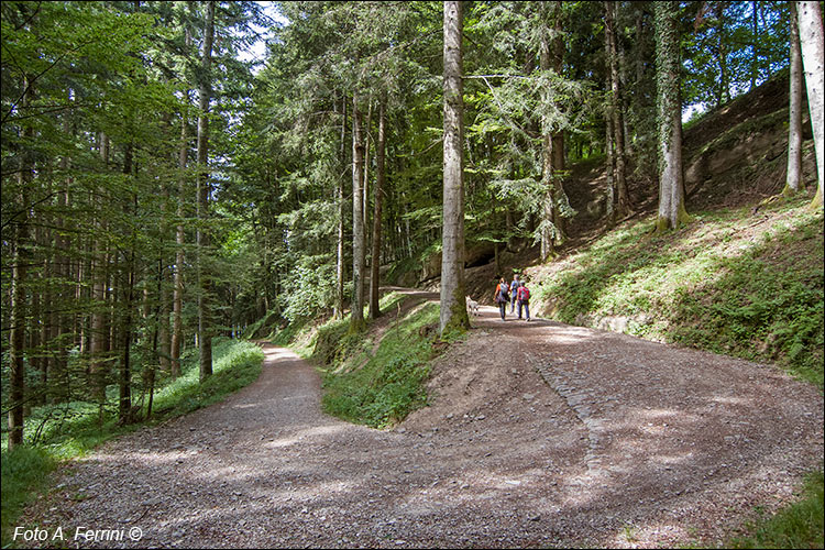 CAI 64 Badia Prataglia - Campo dell’Agio