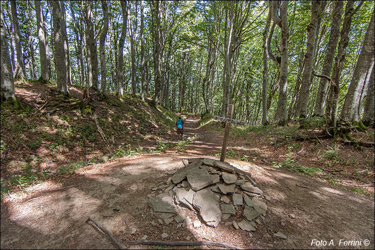 CAI 207 a Passo della Crocina 