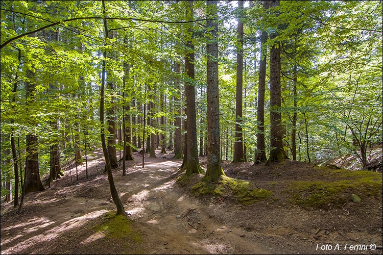 CAI 60 a Campo dell’Agio