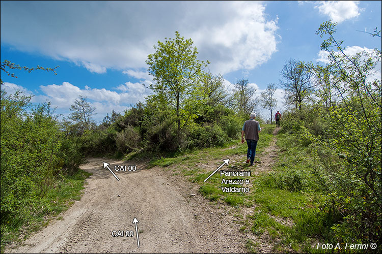 Poggio della Basèlica