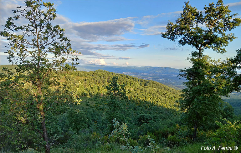 Panorama verso Arezzo