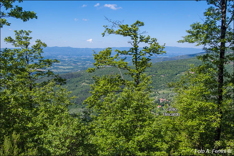 Panorama sul Valdarno