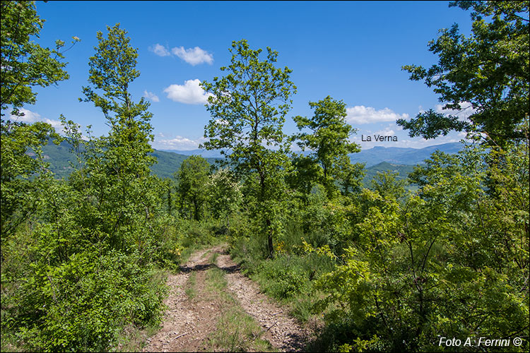 Vista verso il Casentino