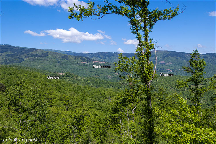 Vista sul Pratomagno