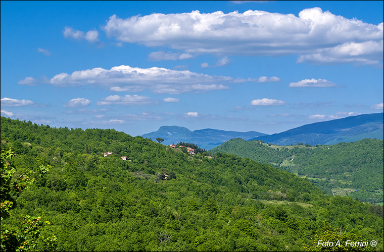 Panorama da Campovecchio