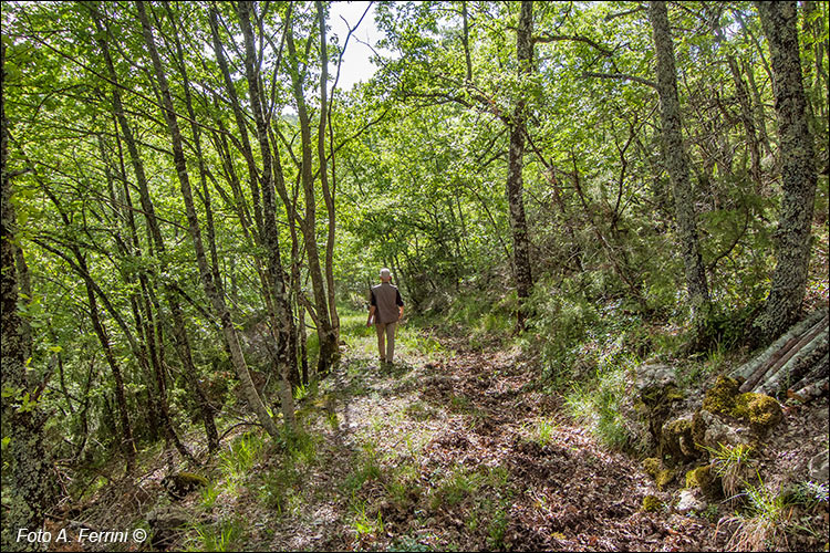 Verso la cava di pietra