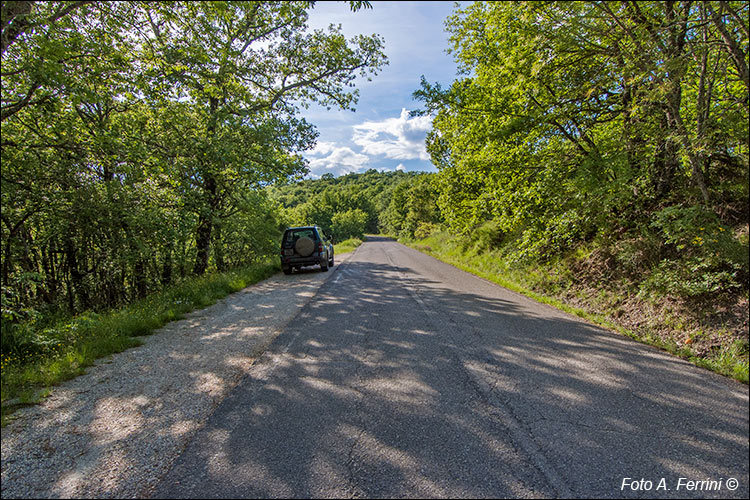 Strada Provinciale 59