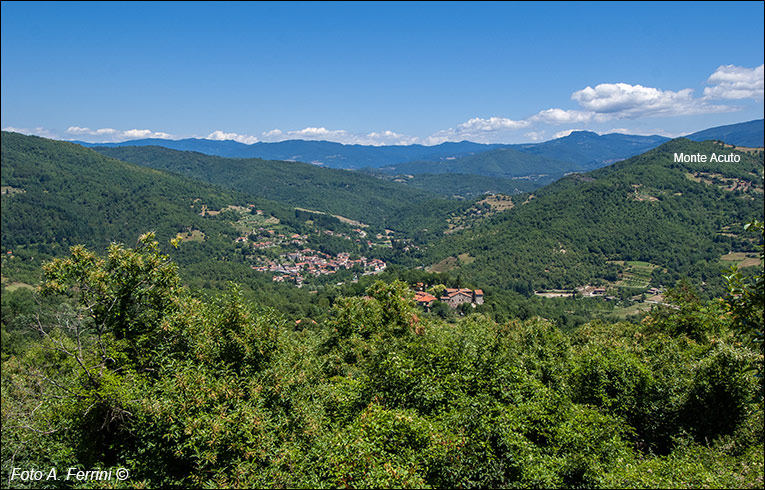 Panorama verso il Casentino