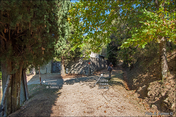 Cimitero di Capraia