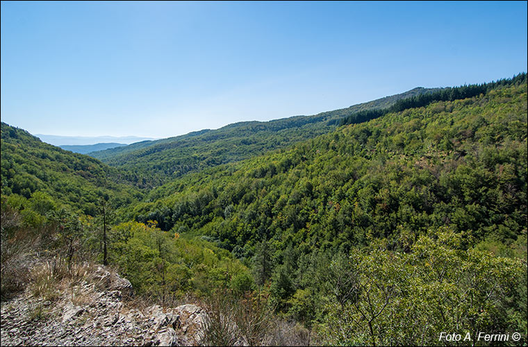 Panorama dal CAI 32