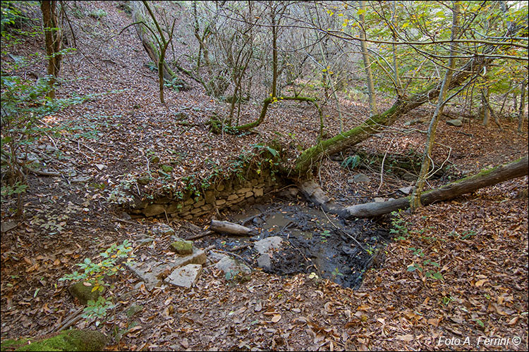 Salto della Pecora