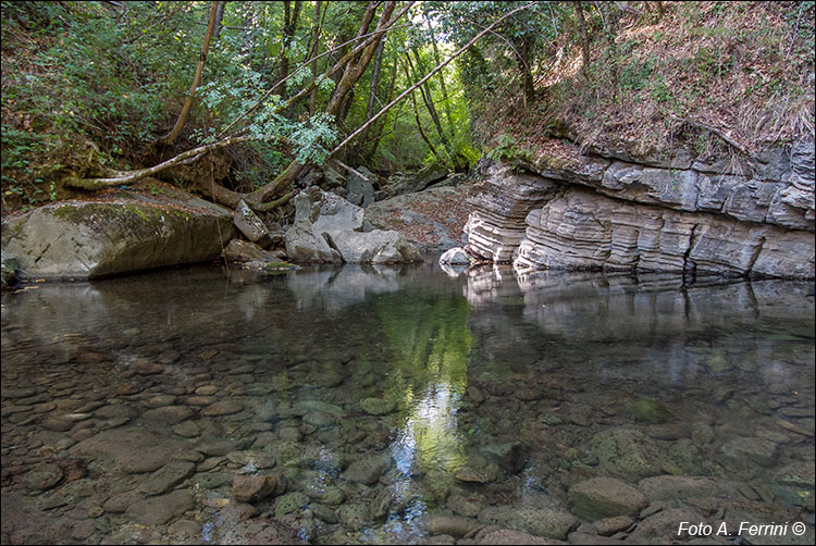 Torrente Capraia