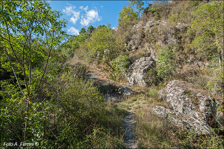 Sentiero Ponte di Sasso - Capraia