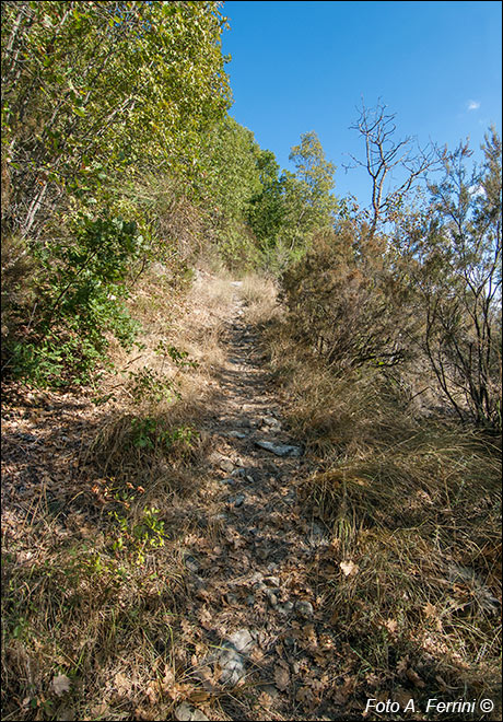 Sentiero Ponte di Sasso - Capraia