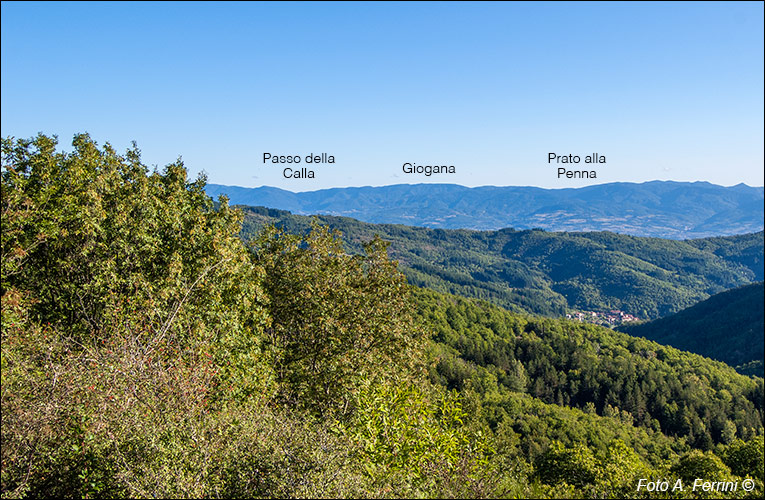 Panorama sul Casentino