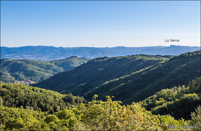 Panorama sul Casentino