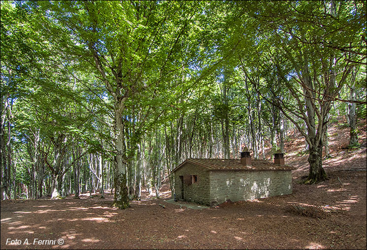 Casa del Vaccaio in Catenaia