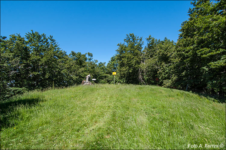 Monte Castello, Catenaia