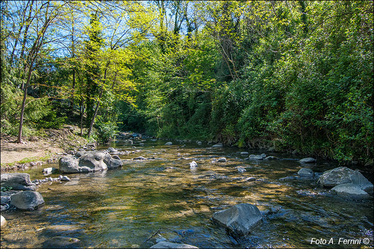 Torrente Rassina a Chitignano