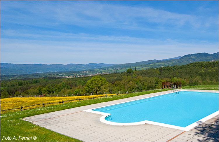 AGRITURISMO COLLINA DELLE STELLE Arezzo Toscana