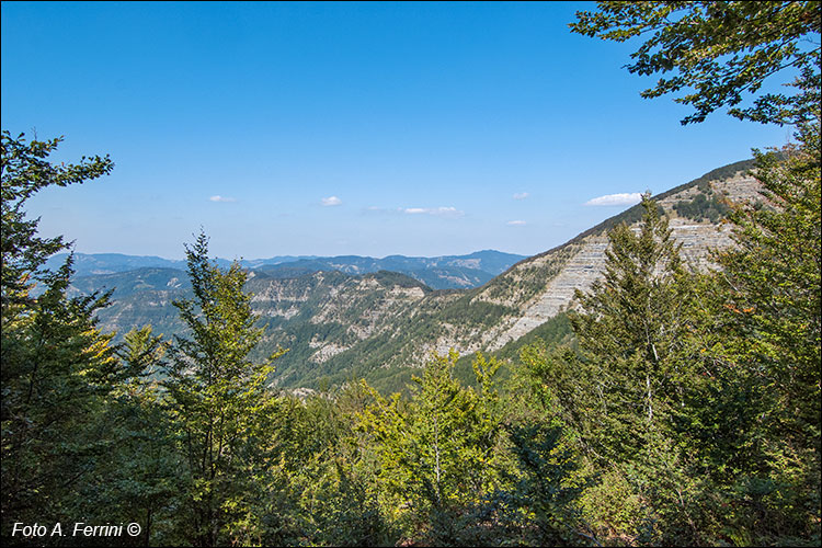 Alpe di San Benedetto 