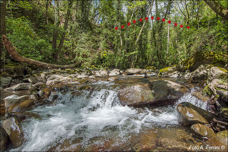 Torrente Bonano