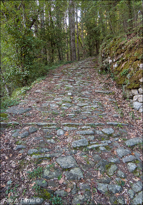 Strada selciata al Molino di Faltona