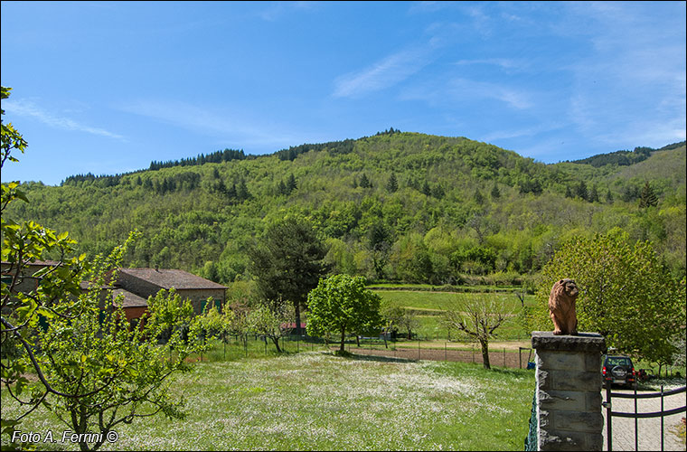 Poggio Catarozzo, Faltona