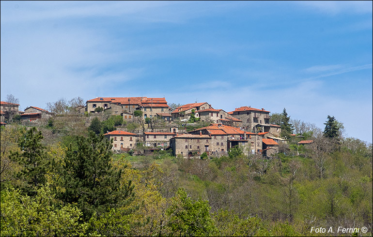 Castelnuovo di Faltona