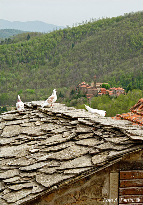 Tetti a lastre a Castelnuovo