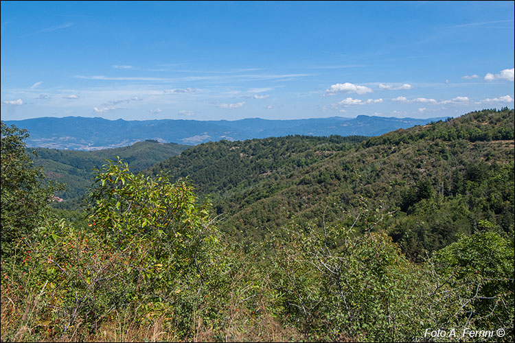 Panorama sul Casentino