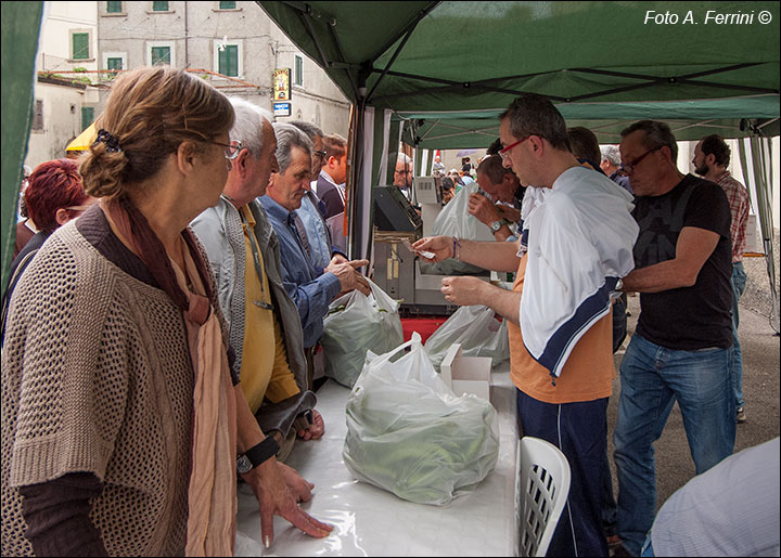 Sagra pecorino e baccelli