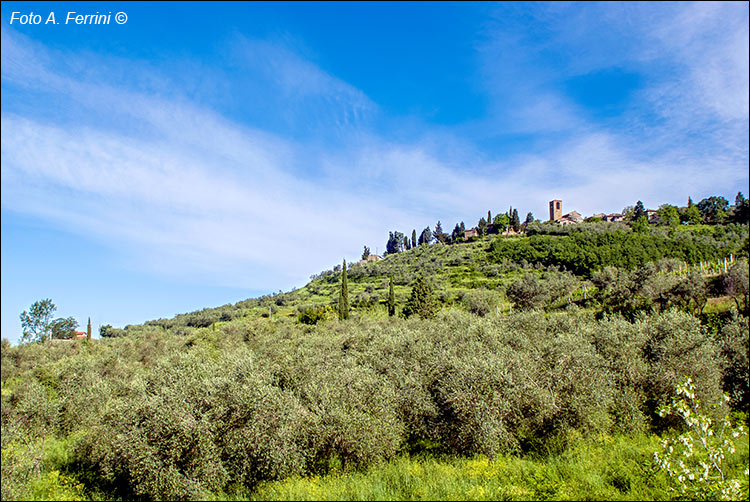 Paesaggio lungo Setteponti