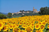 Tuscan castles