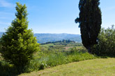 Farm holidays in Tuscany