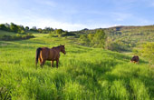 Green tourism 