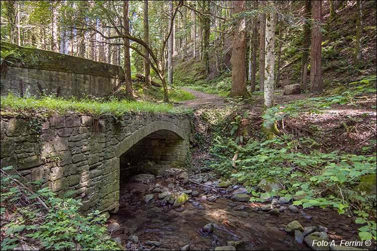 Ponte sull’Archiano a Camaldoli