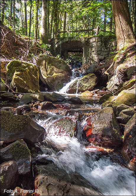 Fosso di Camaldoli