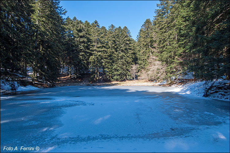 Laghetto Traversari in inverno