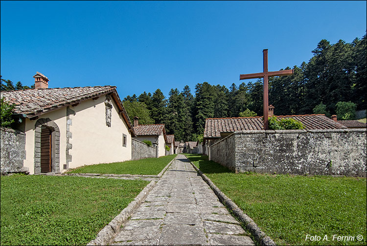 Eremo di Camaldoli, le celle