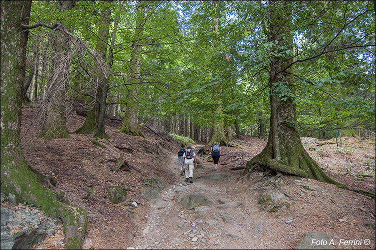 CAI 70 verso Passo Gioghetto