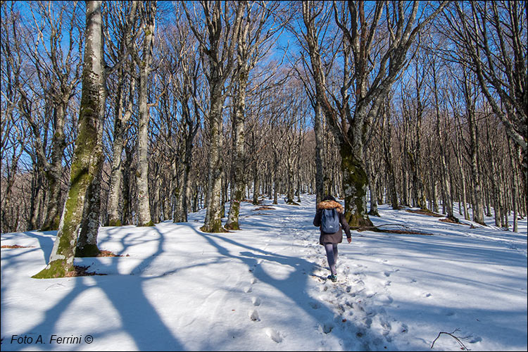 Giogana innevata