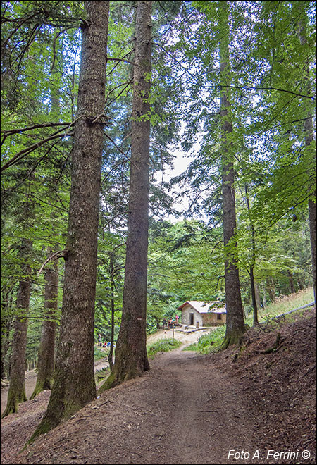 Arrivo al Rifugio Cotozzo