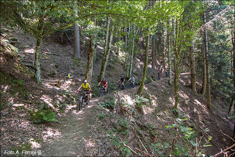 Mountain bike a Camaldoli