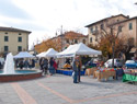 Mercatale Soci