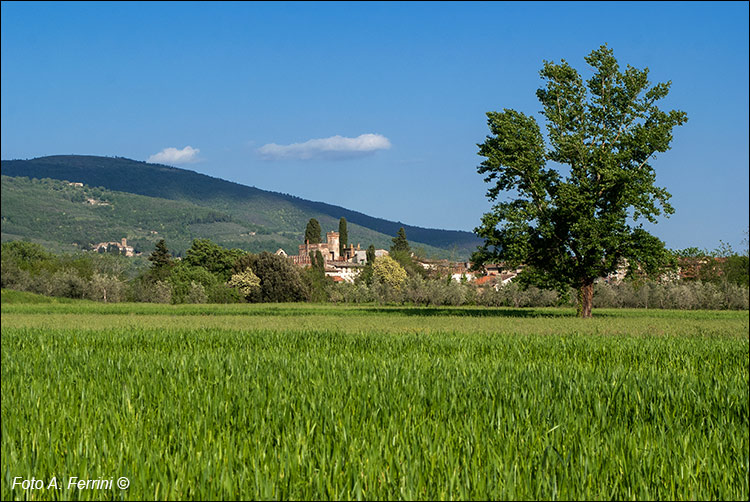 Montemarciano