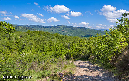 Panorama from Basèlica Poggio